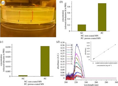 A Rhodamine B Delivery In Gelatin Gel 1 Rhodamine B Delivered By Download Scientific