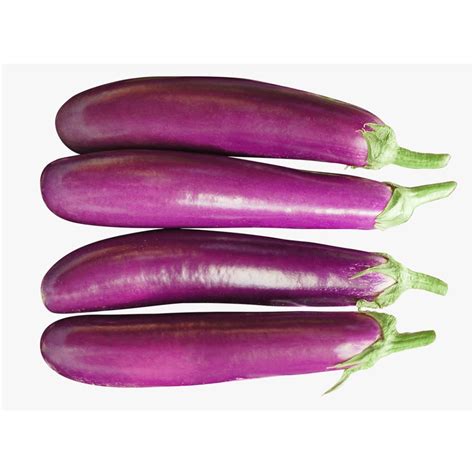 Terung Panjang Long Eggplant Kg