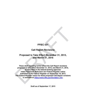 Fillable Online Ffiec Draft FFIEC 031 Reporting Form For The Call