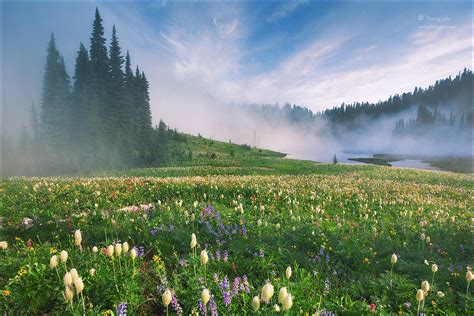 Yiming Hu S Landscape Photography Gallery Forests And Grasslands