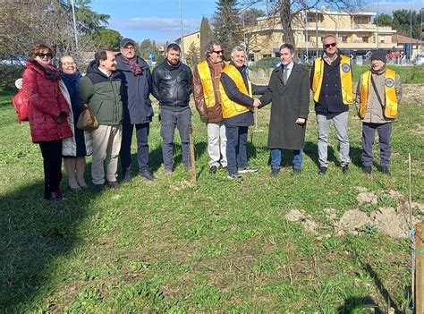 Bosco Urbano Messe A Dimora Oltre Piante