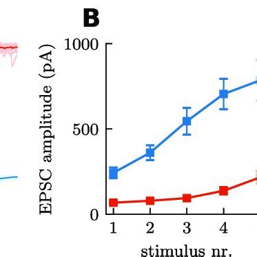 Effects Of Extracellular Calcium Concentration On Stp Dynamics At