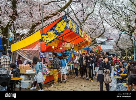 Cherry Blossom Trees And Food Vendors In Ueno Onshi Park Taito Tokyo