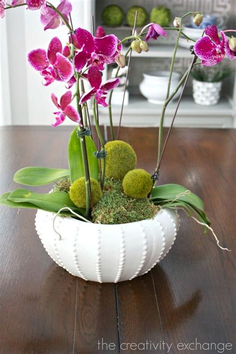 Decorating With Orchids And A Great Trick For Growing Them Growing