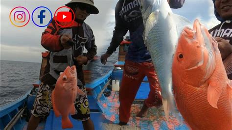 Pemancing Mana Yg Tidak Mau Dapat Ikan Besar Seperti Ini Ikan Besar