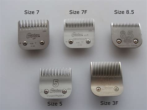 Dog Clipper Blade Sizes Chart In Mm at Roger Matthews blog