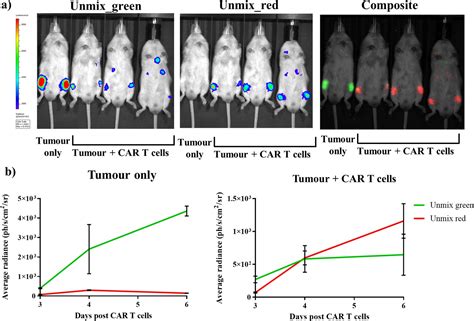 Figures And Data In Near Infrared Dual Bioluminescence Imaging In Mouse