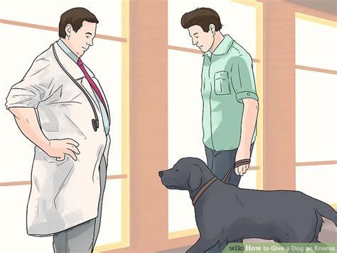 how to give a dog an enema