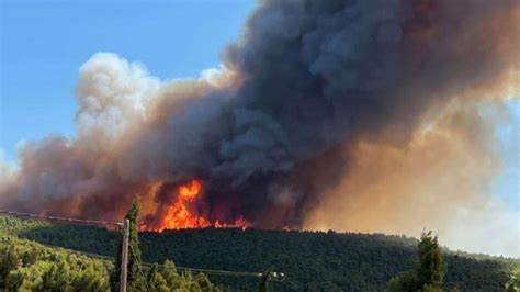 Incendiu Masiv N Attica Pompierii Rom Ni Ncearc S Limiteze