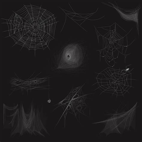 Premium Vector | High quality set of spider web concept