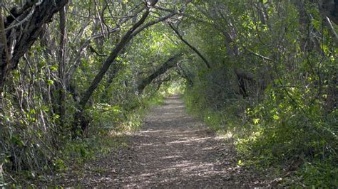 Snake Bight Hiking Trail (U.S. National Park Service)