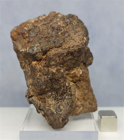 Chondrite Enstatite M T Orite Al Haggounia Catawiki