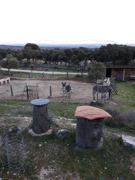 Aula Ap Cola Sierra De Hoyo On Twitter Desde El Aula Ap Cola Sierra