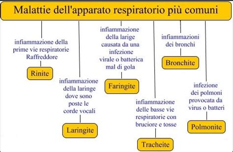 Malattie Respiratorie L Idea Magazine