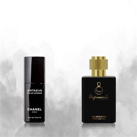 Chanel Antaeus for Men – Perfumwala.shop