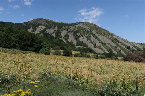 Séjour d été aux Estables Ascension et tour du Mont Mézenc Marche