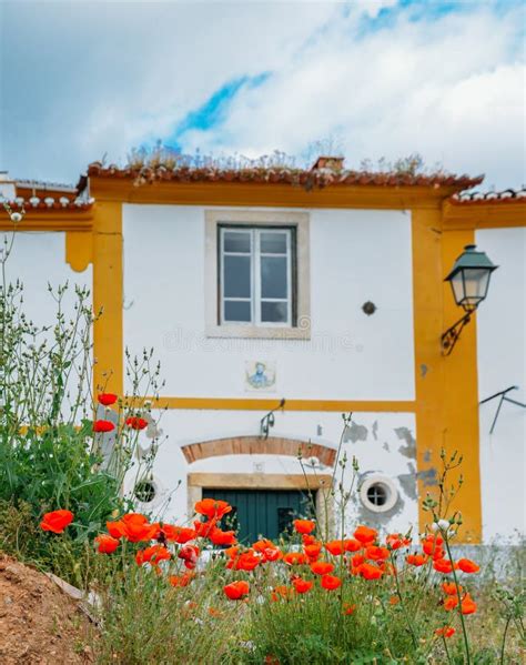 Vista De Casas Portuguesas Tradicionais Em Constancia Portugal Foto De