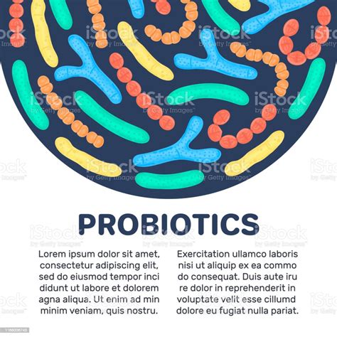 Vector Background With Probiotics In Semicircular Shape Bifidobacterium