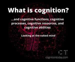 Cognition Executive Functions Cognitive Processes Abilities