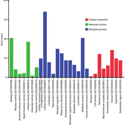 GO Analysis Of The DEGs In Pancreatic Cancer GO Analysis Classified