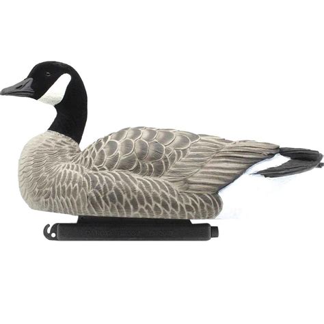 Dakota Decoy X Treme Lesser Canada Goose Floaters Goose Decoys Sportsmans Warehouse