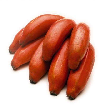 The Wonderful Exotic Red Bananas