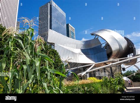 Chicago Illinoisloopmillennium Parkjay Pritzker Music Pavilion