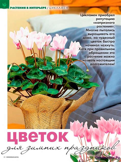 Любимая дача 2 2017 * Переделки.РуПеределки.Ру