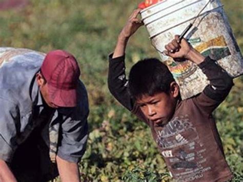 Trabajo Infantil Otra Deuda Argentina