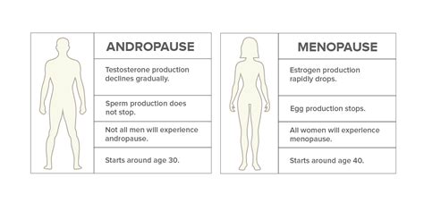 Is male menopause a thing? - Hempure