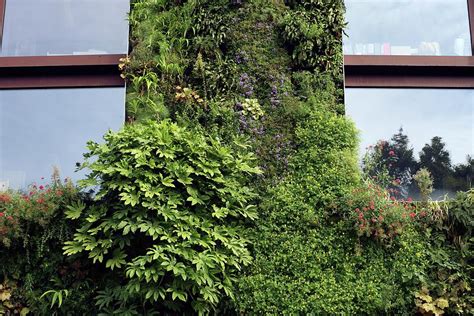 Vertical Garden Photograph By Alex Bartel Science Photo Library Fine Art America