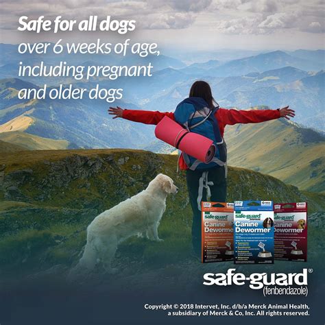 Safe Guard Dewormer For Hookworms Roundworms Tapeworms And Whipworms