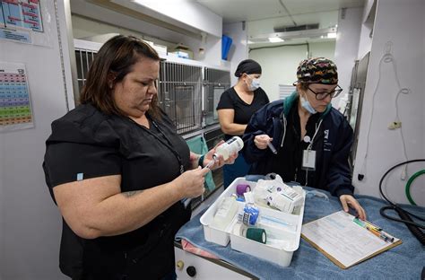 Sacramento County Launches First Of Its Kind Mobile Clinic For Pets Of