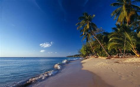 9 Best Caribbean Beaches - Pictolic