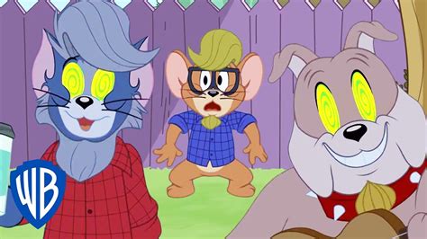 Tom Y Jerry En Latino Tom Se Vuelve Genial Wb Kids Youtube