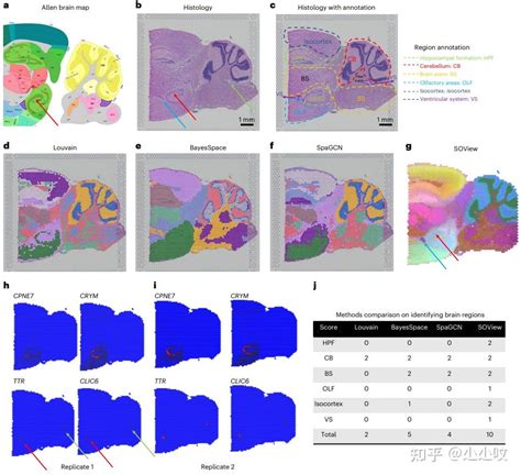 Nature Methods 空间组学数据库推荐：sodb 知乎