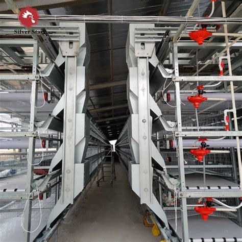 Automatic Egg Layer Chicken Battery Cage Tiers Tiers H Type Poultry