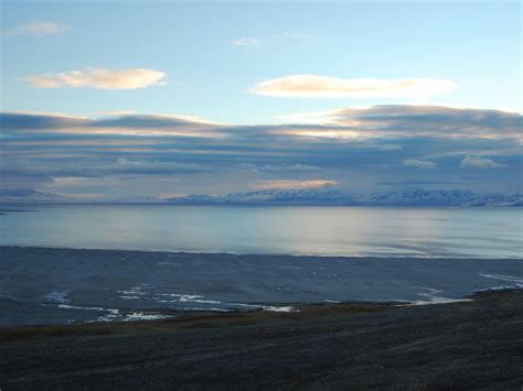 Antelope Island Sunset | Bookshelves and Garden Paths