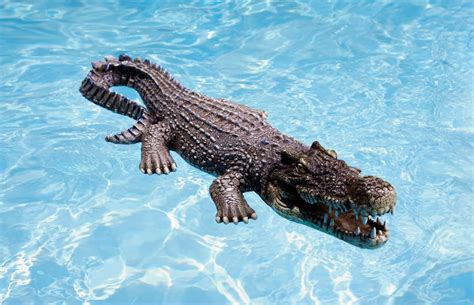 Free Delivery Worldwide Fake Prank Alligator Crocodile Floating