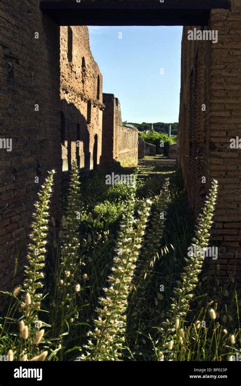 Edificios antiguos en Ostia Antica sitio arqueológico de Ostia