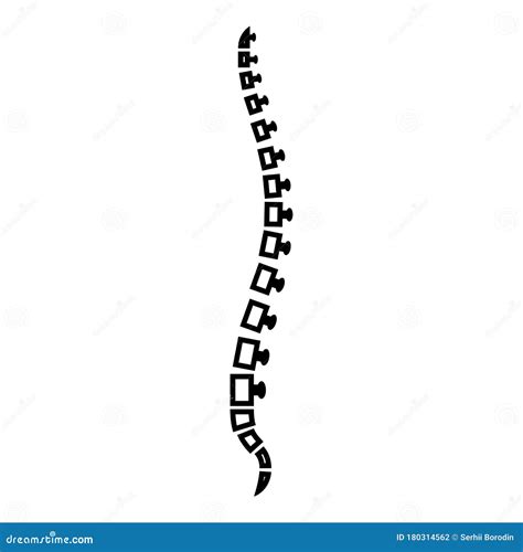 Spine Human Spinal Vertebrae Dorsal Vertebras Backbone Lateral View