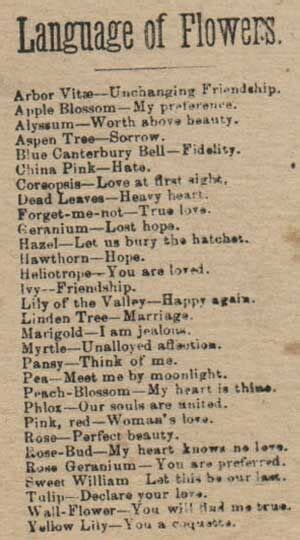 Floriography The Secret Language Of Flowers In The Victorian Era