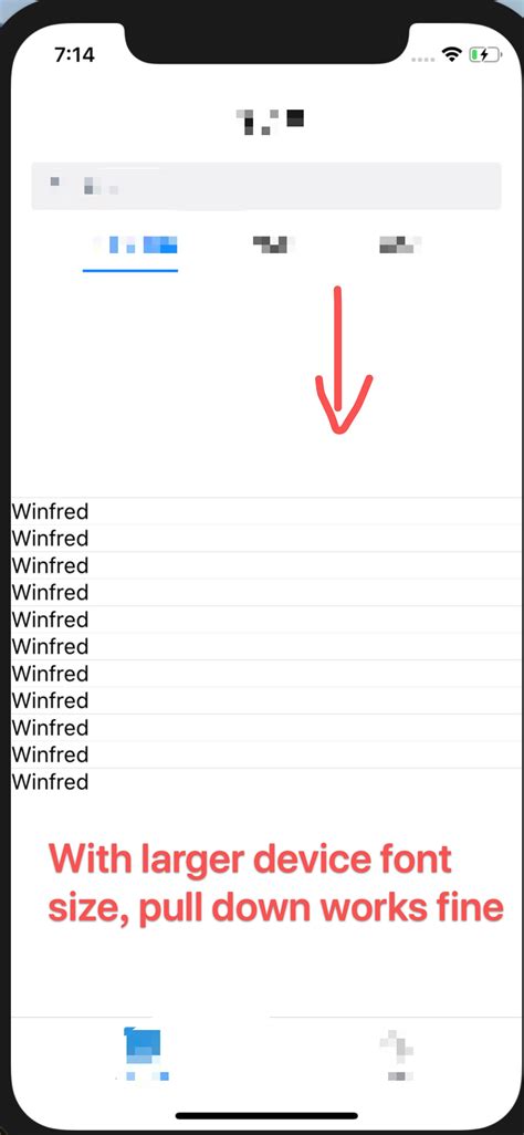 FlatList On IphoneX XS XS PLUS With Small Font Size Cannot Pull Down