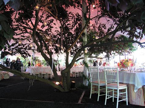 custom-installation-tree-included-in-tent | Loane Bros., Inc.