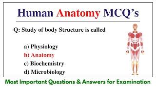 Introduction To Human Anatomy And Physiology Objective Mcqs Quiz