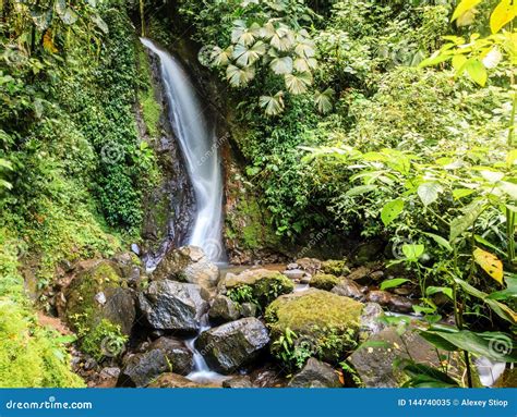 Waterfall in Mistico Arenal Hanging Bridges Park Stock Image - Image of ...