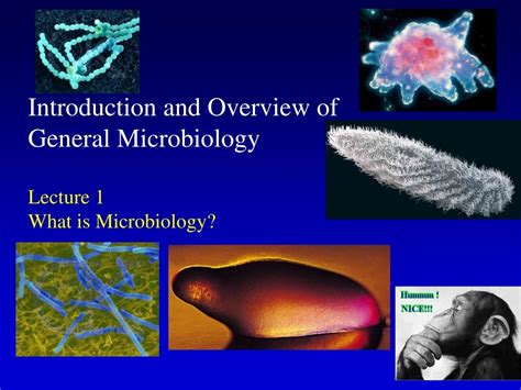 PPT Introduction And Overview Of General Microbiology Lecture 1 What