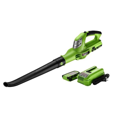 Top 10 Best Cordless Leaf Blowers in 2021 Reviews | Buyer’s Guide