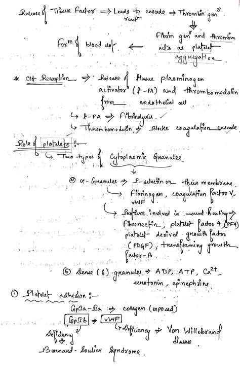 SOLUTION Handwritten Simplified Notes On Hemostasis For Mbbs Students