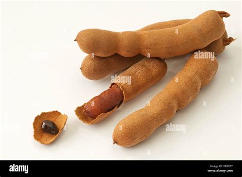 Tamarind Tamarindus Indica Whole And Opened Pods Studio Picture